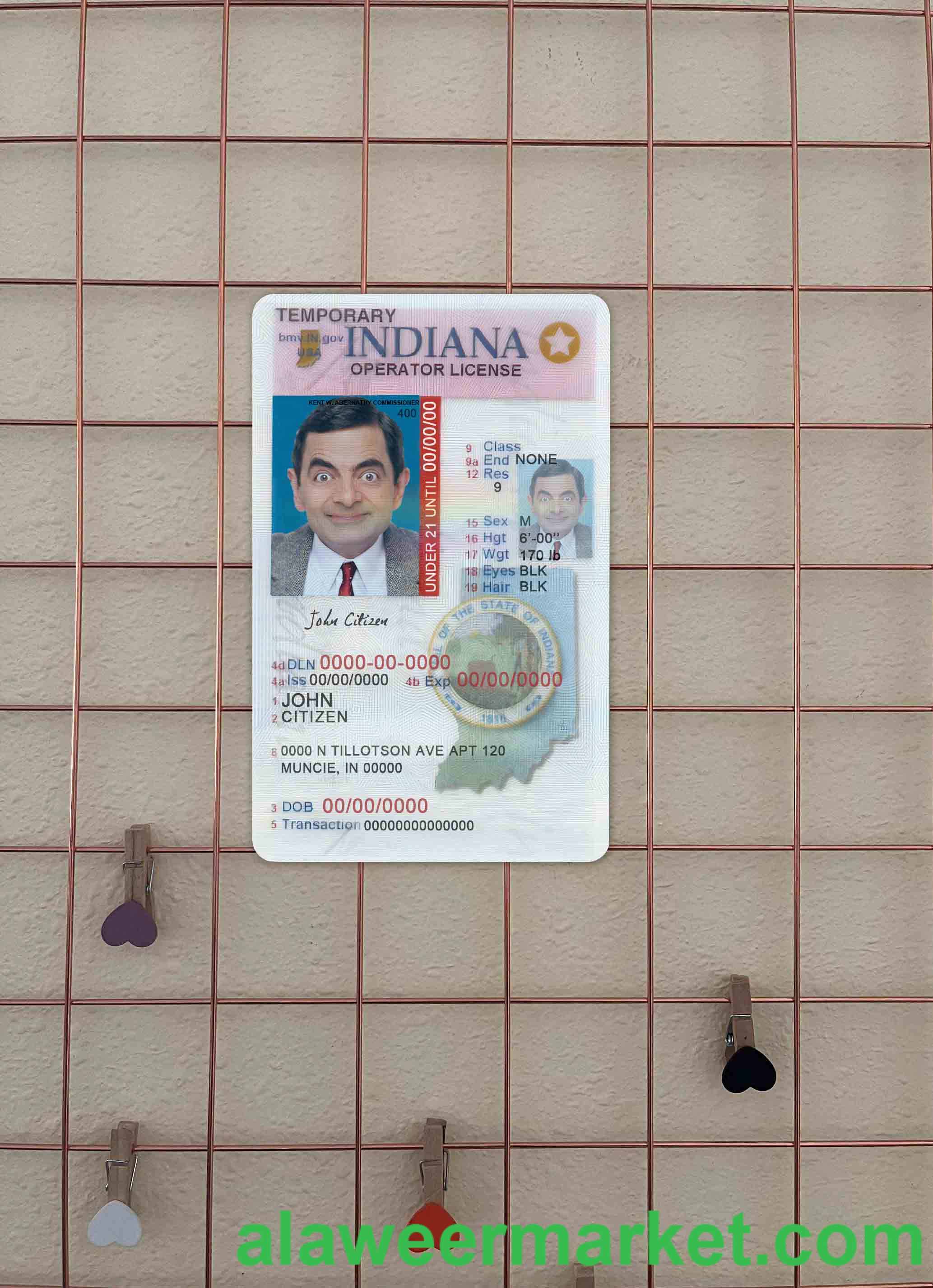 USA Indiana driving (operator) license under 21 photolook FRONT